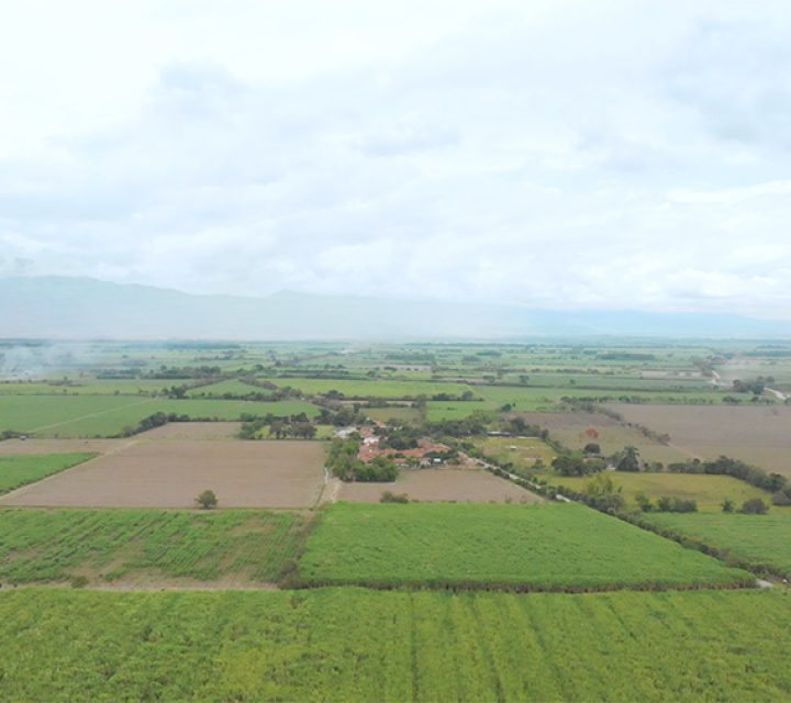 La-Finca-1